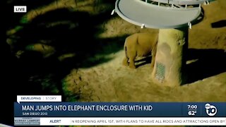 Man jumps into elephant enclosure with his child