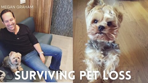 Surviving Pet Loss | Yorkie 101