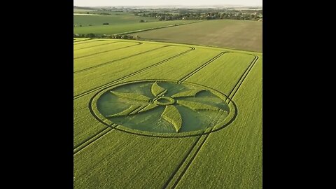 1st CROP CIRCLE of the Year ~ Broad Hinton near Winterbourne Bassett Wiltshire, UK 28th of May 2023