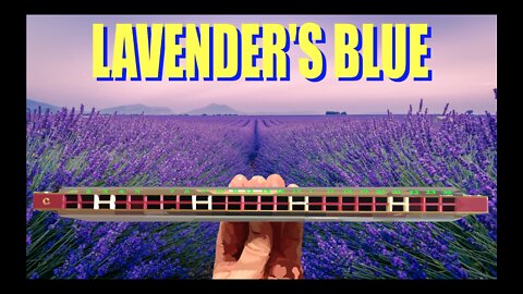 How to Play Lavender's Blue on a Tremolo Harmonica with 24 Holes