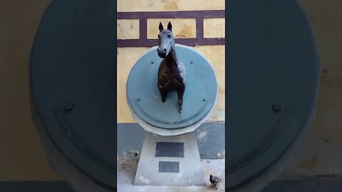 Pombos e Galinhas no Parque da Água Branca Zona Oeste da Capital São Paulo