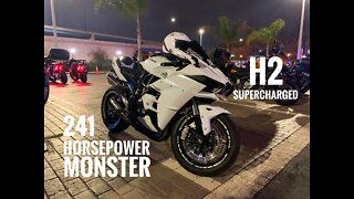 Kawasaki H2 Horsepower Monster