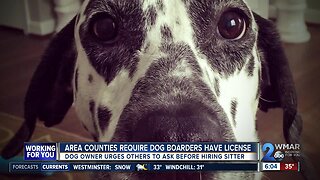 Area counties require license for people boarding dogs through apps