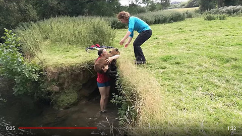 Rescuing a tired sheep from a stream