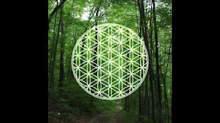 Psychic Focus on the Flower of Life