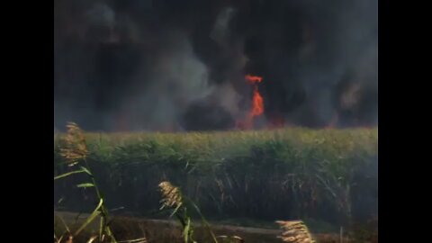 Burning Sugar Cane Field