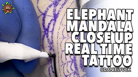 Elephant Mandala Close Up Tattoo Real Time