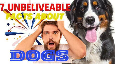 7 fact about dog which you didn't know