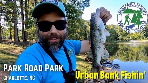 Urban Fishing - Park Road Park - Bank Fishing for Bass - Charlotte, NC