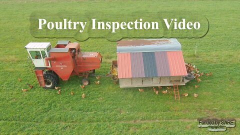 Poultry Management Video