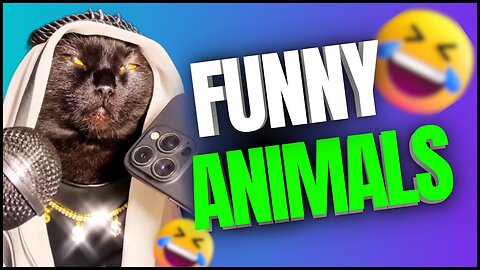 Silly animal online videos