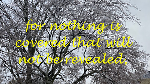 Nothing is Covered that will Not Be Revealed Matthew 10: 26-28