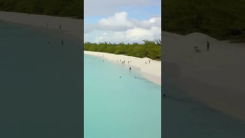 Bahamas Beaches #bahamas #bahamastiktok #bahamascruise #bahamasbeach #bahamasbeaches #bahamaswater