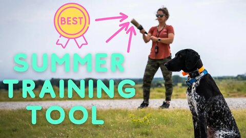 Best Summer Retrieving Tool For Dogs