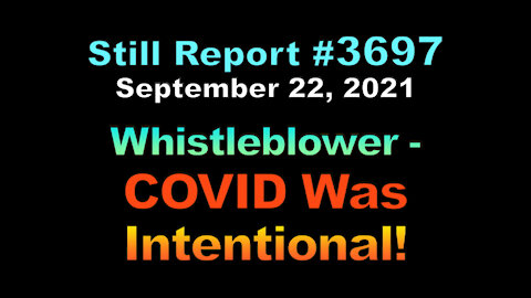 Chinese Whistleblower – COVID Was Intentional!, 3697