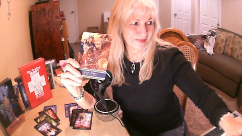 Tarot - Random Daily Channeled Message - Chaos Clearing & Divine Manifestations