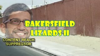 COMING SOON TO PATREON! BAKERSFIELD LIZARDS II