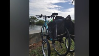 Bike stolen from woman with disability in Lake Worth