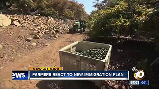 Farmers react to new immigration plan