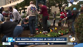 San Diegans beautify Balboa Park on MLK Day of Service