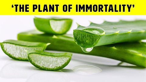 Aloe Vera Benefits That You Didn't Know