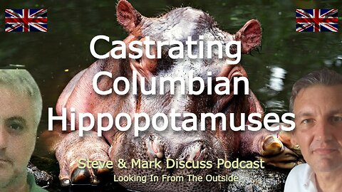Castrating Columbian Hippopotamuses