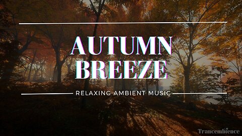 Rustling Leaves: Relaxing Autumn Forest Ambiance