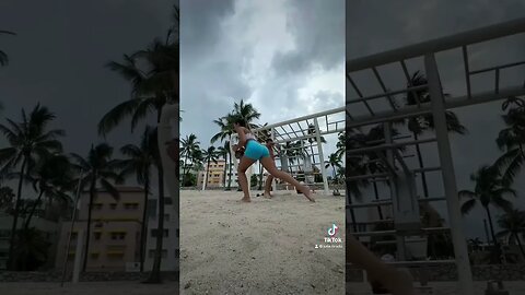 I flew from jersey to miami to visit this outdoor beach gym