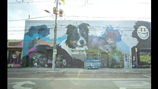 Timelapse video of Ultimate Pet Project mural in Wynwood