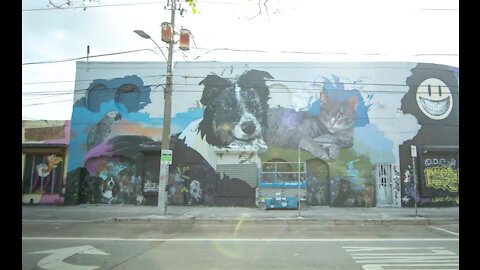 Timelapse video of Ultimate Pet Project mural in Wynwood