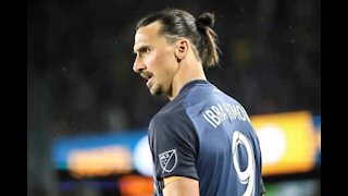 Taekwondo toddler nearly takes the nose off lanky Ibrahimović