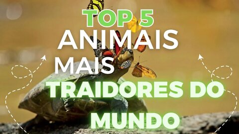 5 ANIMAIS MAIS SORRATEIROS E TRAIDORES DO MUNDO