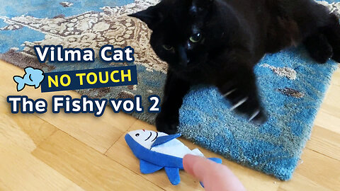 Vilma Cat No Touch The Fishy vol 2