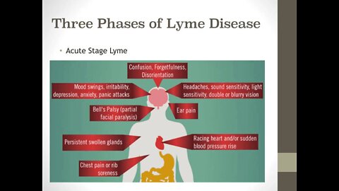 The Lyme Dilemma 2 | Dr. Kevin Conners - Conners Clinic