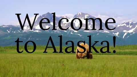 Unveiling Alaska's Untamed Beauty: A Visual Journey