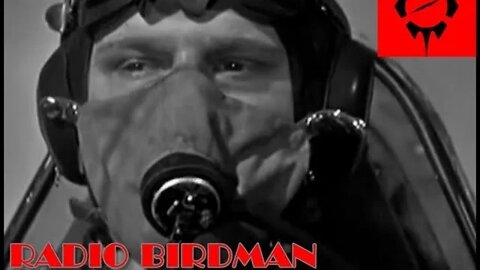 Radio Birdman ALONE IN THE ENDZONE