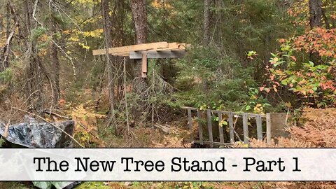 The New Tree Stand - Part 1
