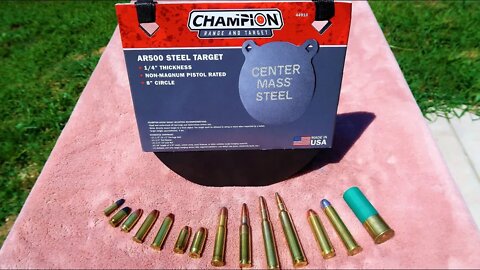 Walmart AR500 steel target - CHAMPION range and target