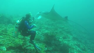 GARY AND PETA WITH MANTAS🐬