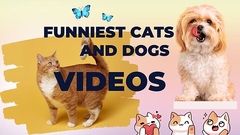 Funniest Cats And Dogs Videos 😂 - Best Funny Animal Videos 2023