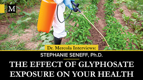 The Effect of Glyphosate Exposure on Your Health – Interview With Stephanie Seneff, Ph.D.