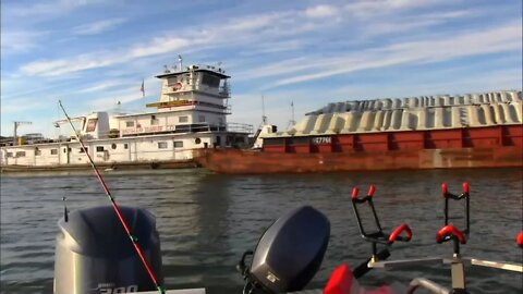 Who can explain how the barge triggers the Catfish to bite. The BARGE BITE