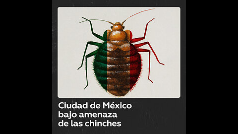Ciudad de México lidia con una posible plaga de chinches