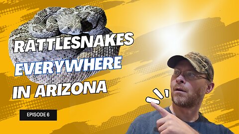 Common Rattlesnakes in Arizona
