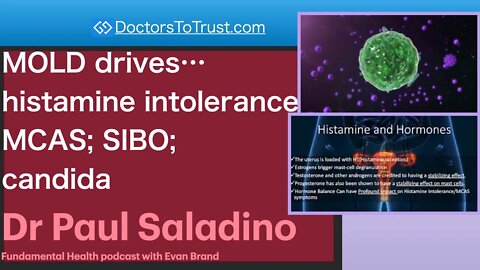 DR PAUL SALADINO 3 | MOLD drives…histamine intolerance MCAS; SIBO; candida