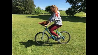 One-of-a-kind chicken loves to join owner for bike rides