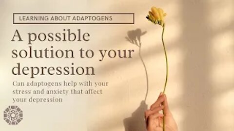 ADAPTOGENS, do they help with DEPRESSION ? | help your anxiety & depression | adaptogen top benefits