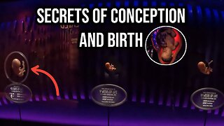 Secrets of Human Conception and the Miracle of Birth