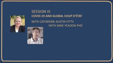 COVID-19 AND GLOBAL COUP D'ÉTAT - CATHERINE AUSTIN FITTS WITH MIKE YEADON PHD