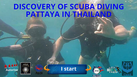 🤿 discover scuba diving in Pattaya